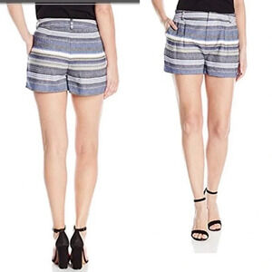 Parker Iman Short Blue Striped pattern Embroidered linen blend pockets shorts